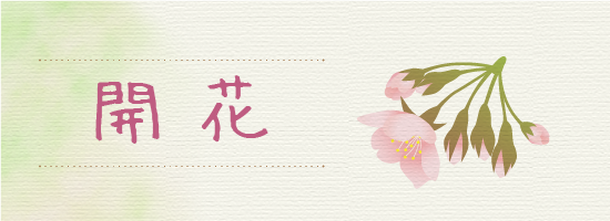 イメージ画像:開花