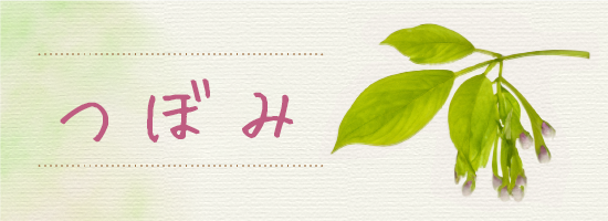 イラスト:つぼみ