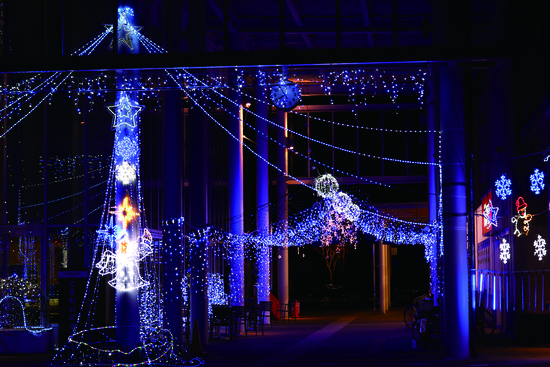 写真：よこてイーストイルミネーション
