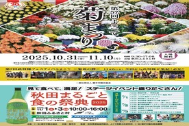 よこて菊まつり