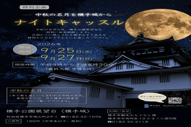横手城ナイトキャッスル