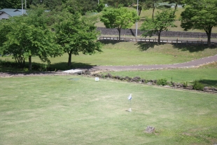 写真：大森グラウンド・ゴルフ場