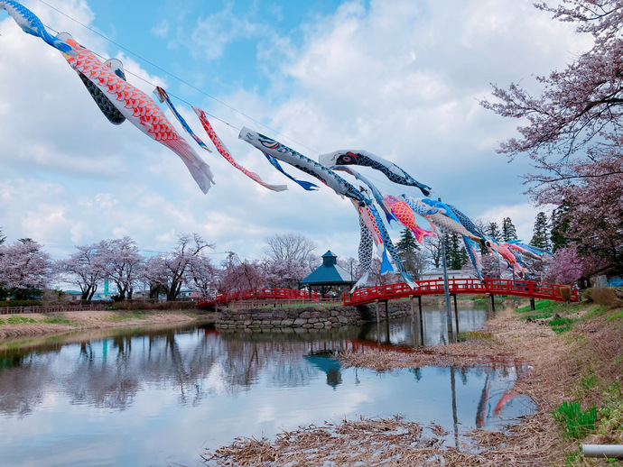 写真：梨木公園