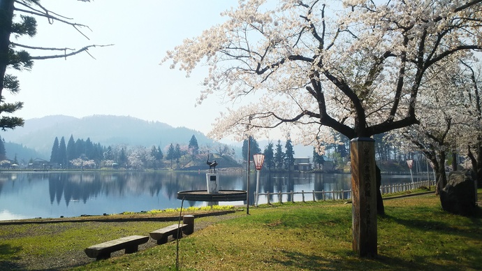 写真：鶴ヶ池公園