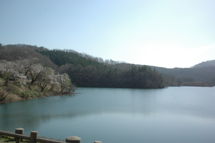 写真：新緑の相野々ダム公園