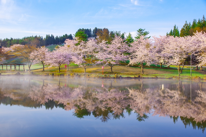 写真：大森公園