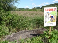 写真：設置した看板の様子