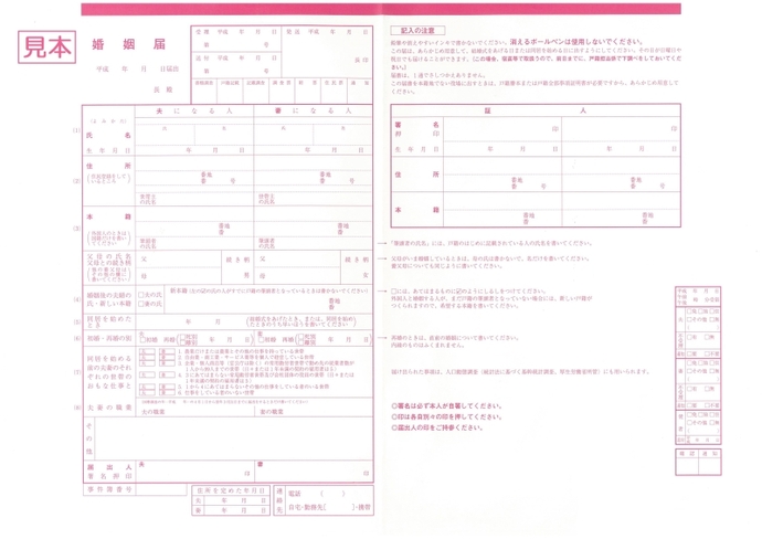 書類：バラ色婚姻届用紙（見本）