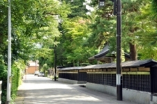 写真：羽黒町・上内町地区景観重点地区の生け垣と板塀