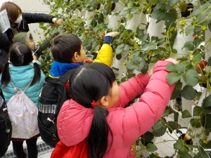 写真：小学生の食農体験の様子