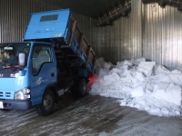 写真：雪室に雪を入れる作業2