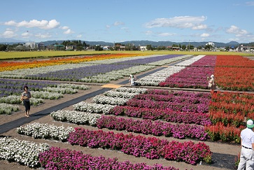 写真：たいゆう緑花園