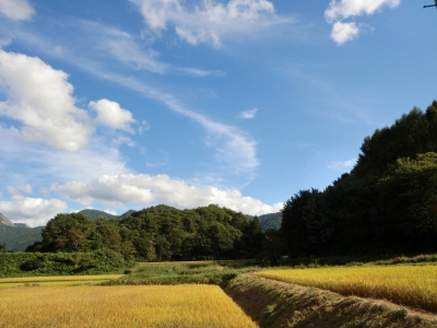 写真：田園風景