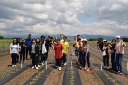写真：秋田大学留学生農業体験