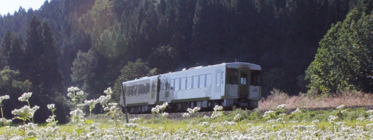 写真:そば畑とJR北上線