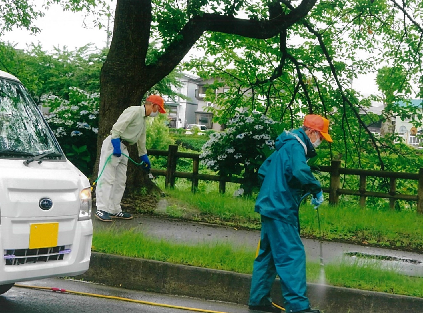 写真：旭川町内会除草作業