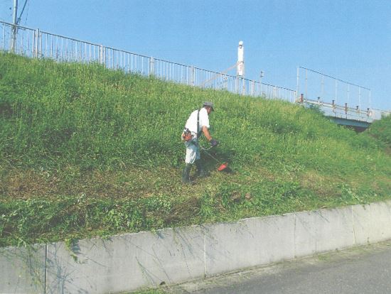 写真：松友会草刈り作業
