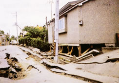 写真：地震で倒壊した建物