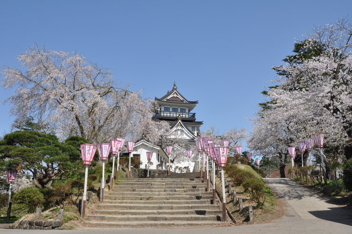 写真:桜まつり