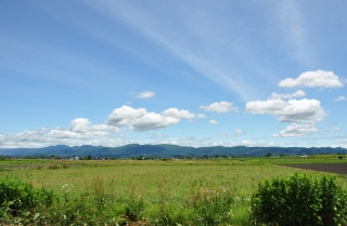 写真:大雄地域から奥羽山脈を望む