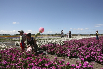 写真:たいゆう緑花園