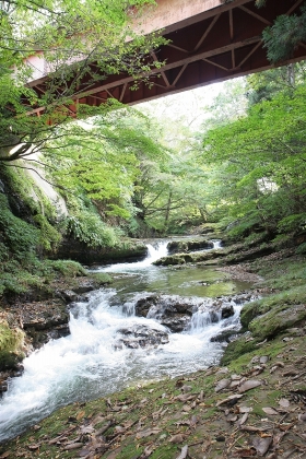 写真:成瀬川の支流-狙半内川の渓流から川口橋を望む