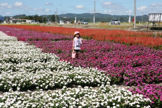 写真:たいゆう緑花園