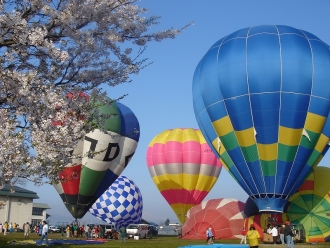 写真:色とりどりの熱気球「秋田スカイフェスタ」