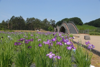 写真:平成の風わたる公園