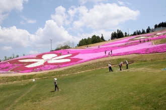 写真:大森リゾート村の芝桜