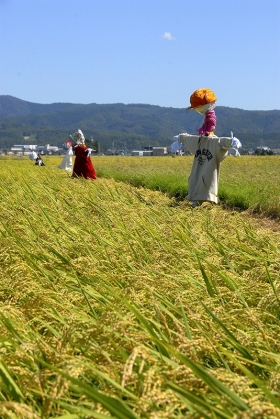 写真:旭小学校田のかかし