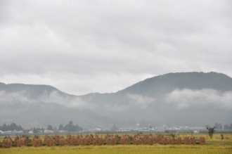 写真:くいがけ風景