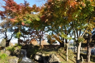 写真:浅舞公園、平鹿地域