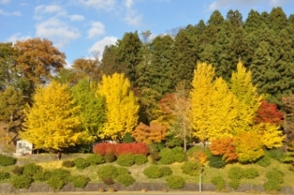 写真:横手城南高校付近