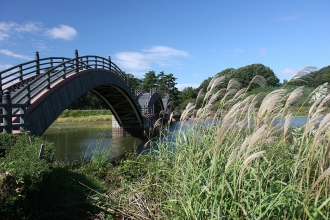 写真:平安の風わたる公園とすすき