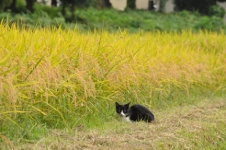 写真:休憩中