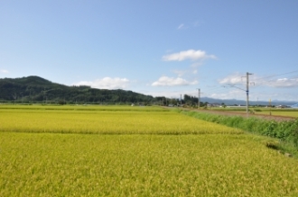 写真:田園風景