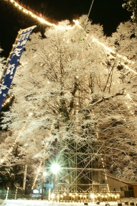 写真:槻の木光のファンタジー(平鹿)4