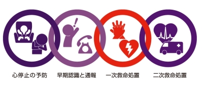 イラスト:救命の連鎖(心停止の予防・早期認識と通報・一時救命処置・二次救命措置)