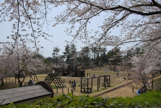 写真：横手公園・赤土広場