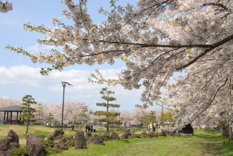 写真:浅舞公園