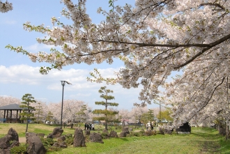 写真：浅舞公園