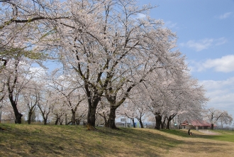 写真:十五野公園