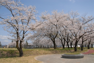 写真:十五野公園