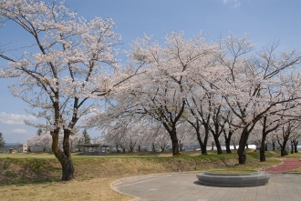 写真：十五野公園