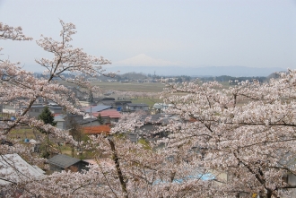 写真：金沢公園