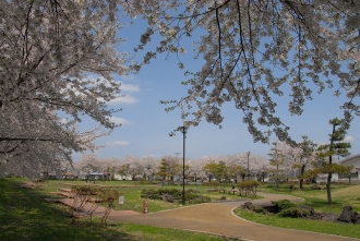 写真：浅舞公園