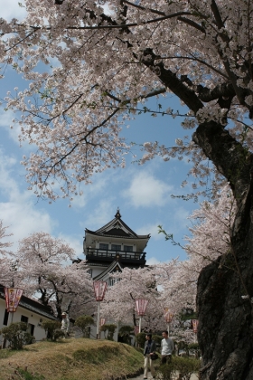 写真：横手公園