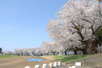 写真：記念公園多目的運動場