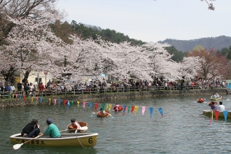 写真:真人公園「たらいこぎ競争」